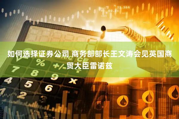 如何选择证券公司 商务部部长王文涛会见英国商贸大臣雷诺兹