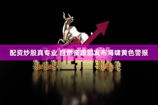 配资炒股真专业 自然资源部发布海啸黄色警报